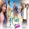 About Teri Yaado Me Sanam Song